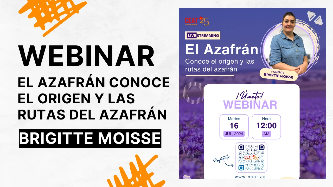 Brigite Webinar